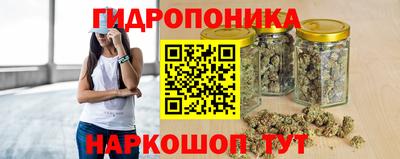 твердый Лесосибирск