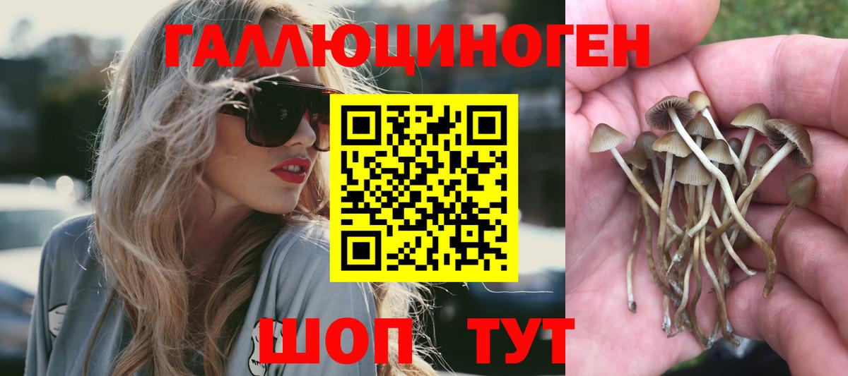 Каменск-Шахтинский  Псилоцибиновые грибы мухоморы  Вход с VPN 